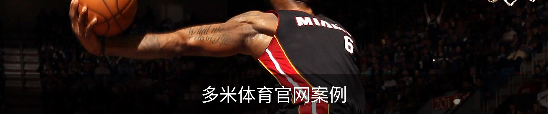 多米体育官网案例